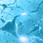 "Alzheimer's"