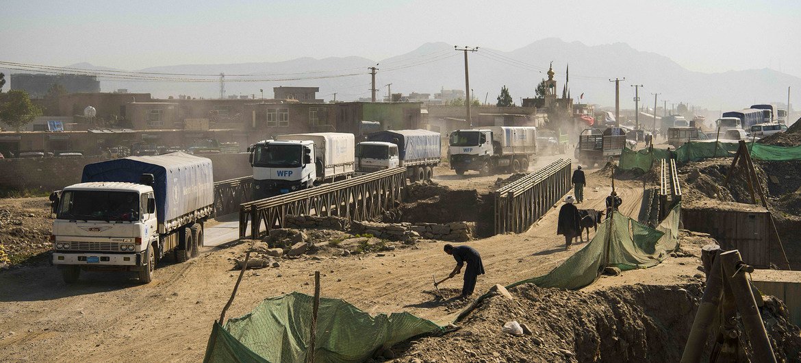 UN Forced to Cut Food Aid to Afghanistan