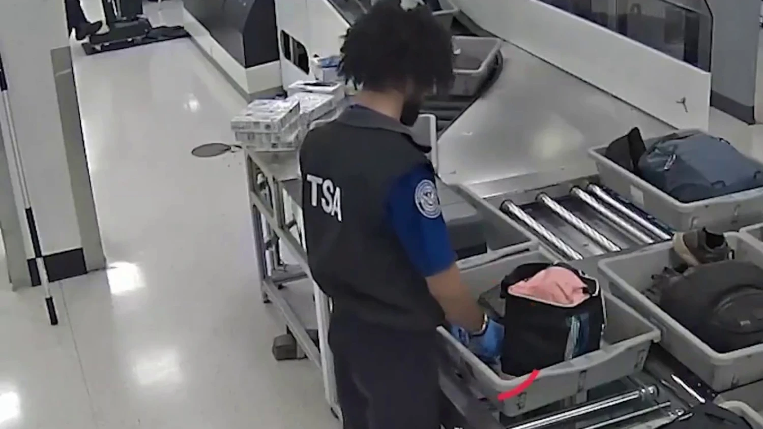 Alleged luggage theft at US airport caught on CCTV
