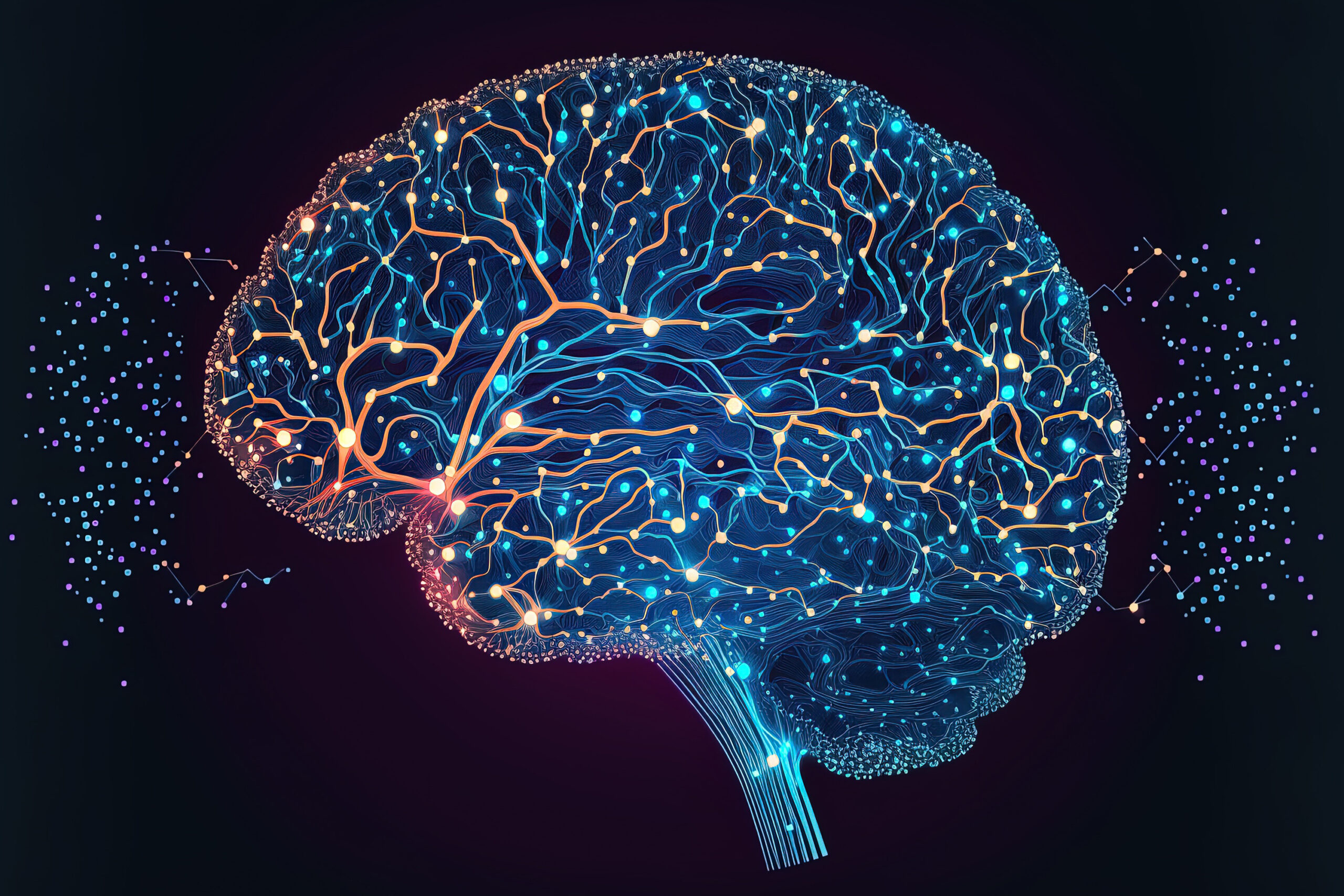 Brain Atlas: Unlocking the Mysteries of the Human Brain
