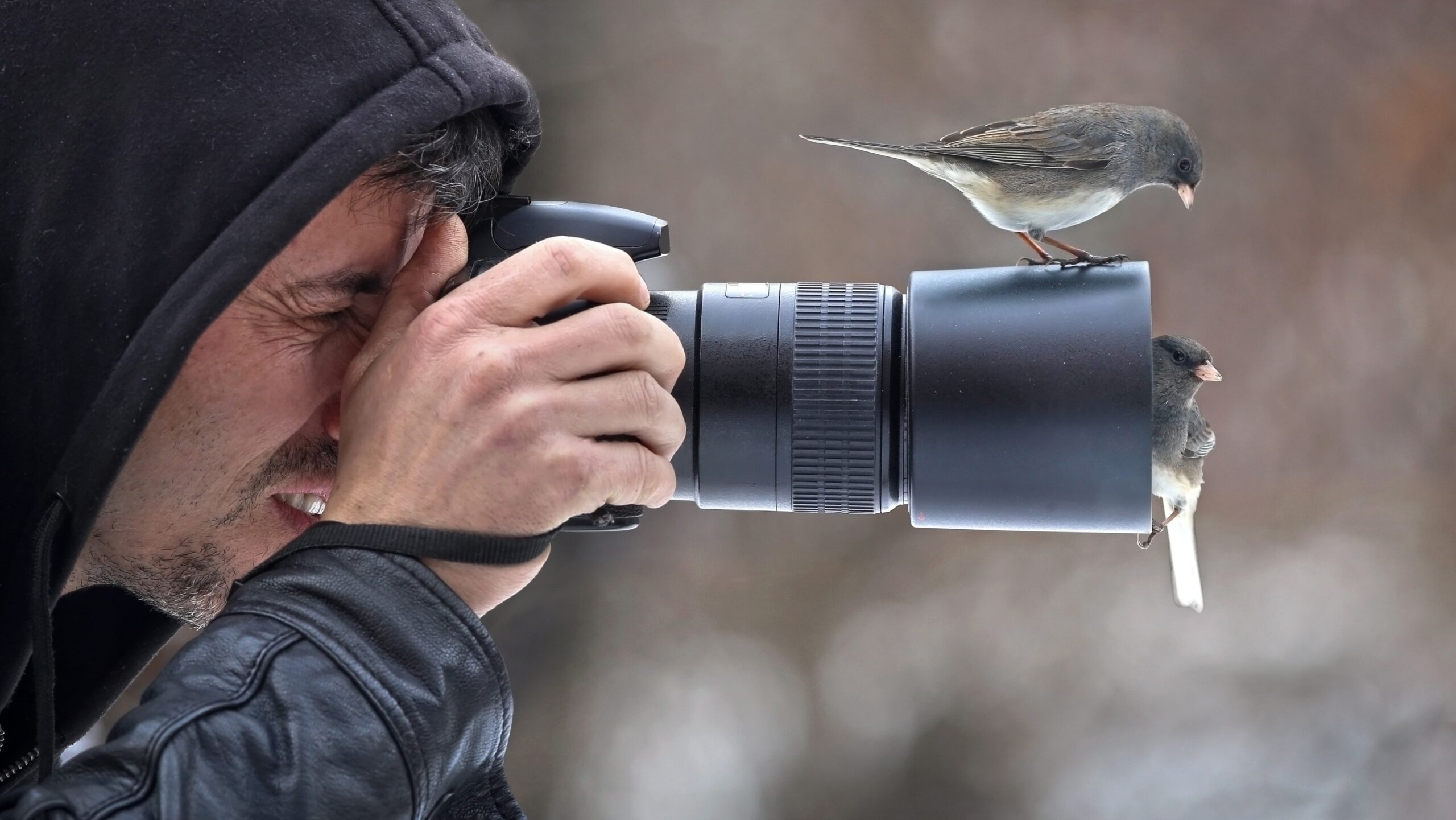 Wildlife Photographer of the Year 2023 – Images of Nature’s Beauty